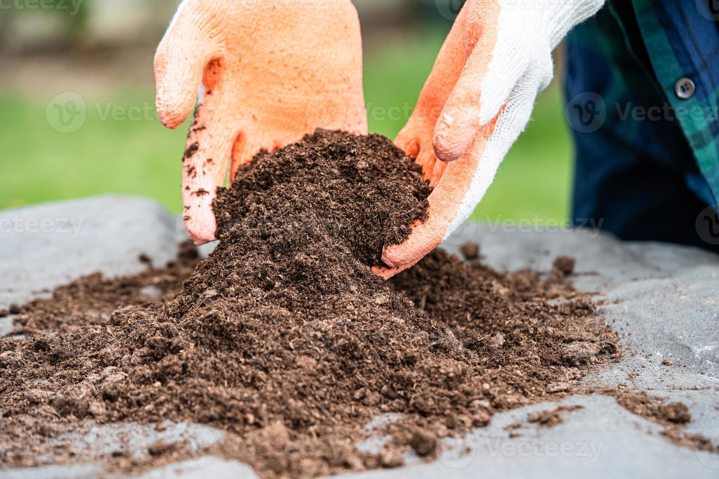 main tenant la matière organique de mousse de tourbe améliorer le sol pour l'agriculture culture de plantes biologiques, concept d'écologie. photo