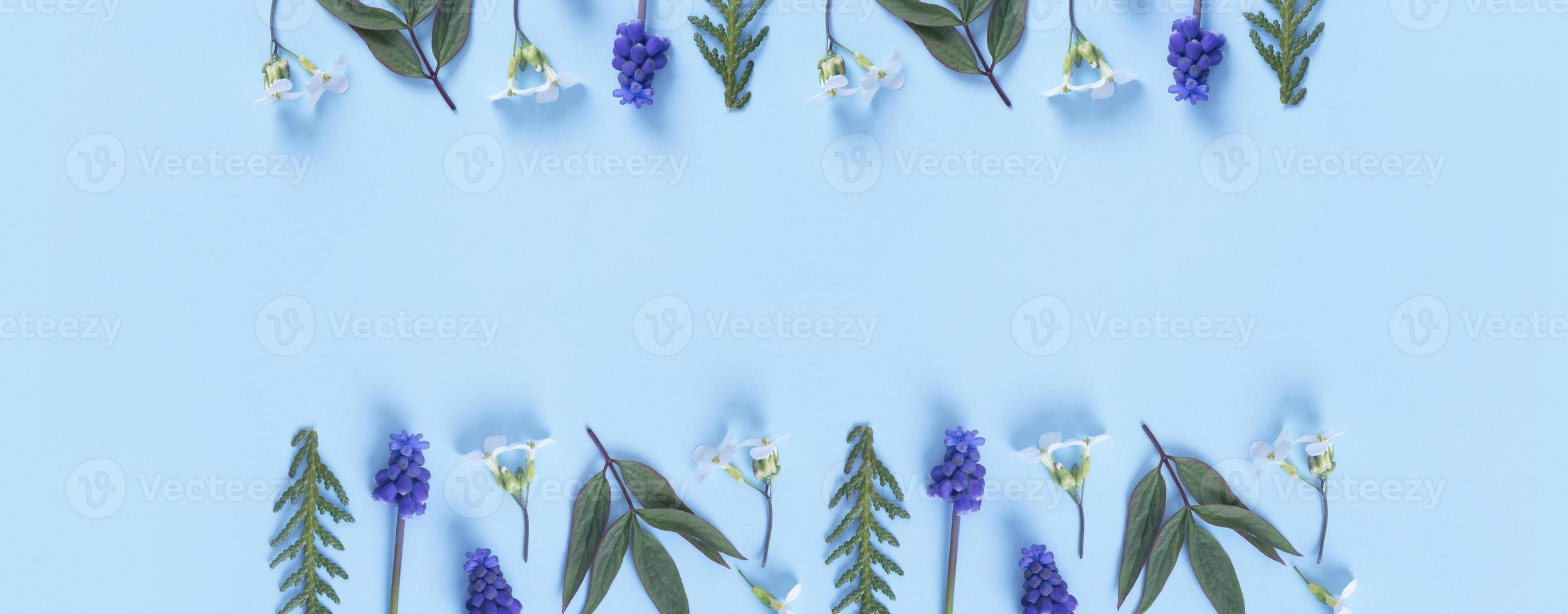 bannière fabriqué de fleurs et feuilles plat allonger sur coloré Contexte. printemps bannière avec copie espace photo