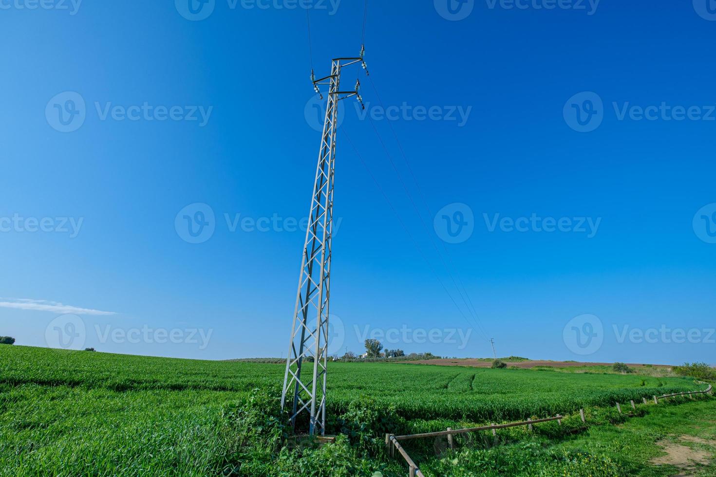 Poteau téléphonique dans le champ vert rural photo