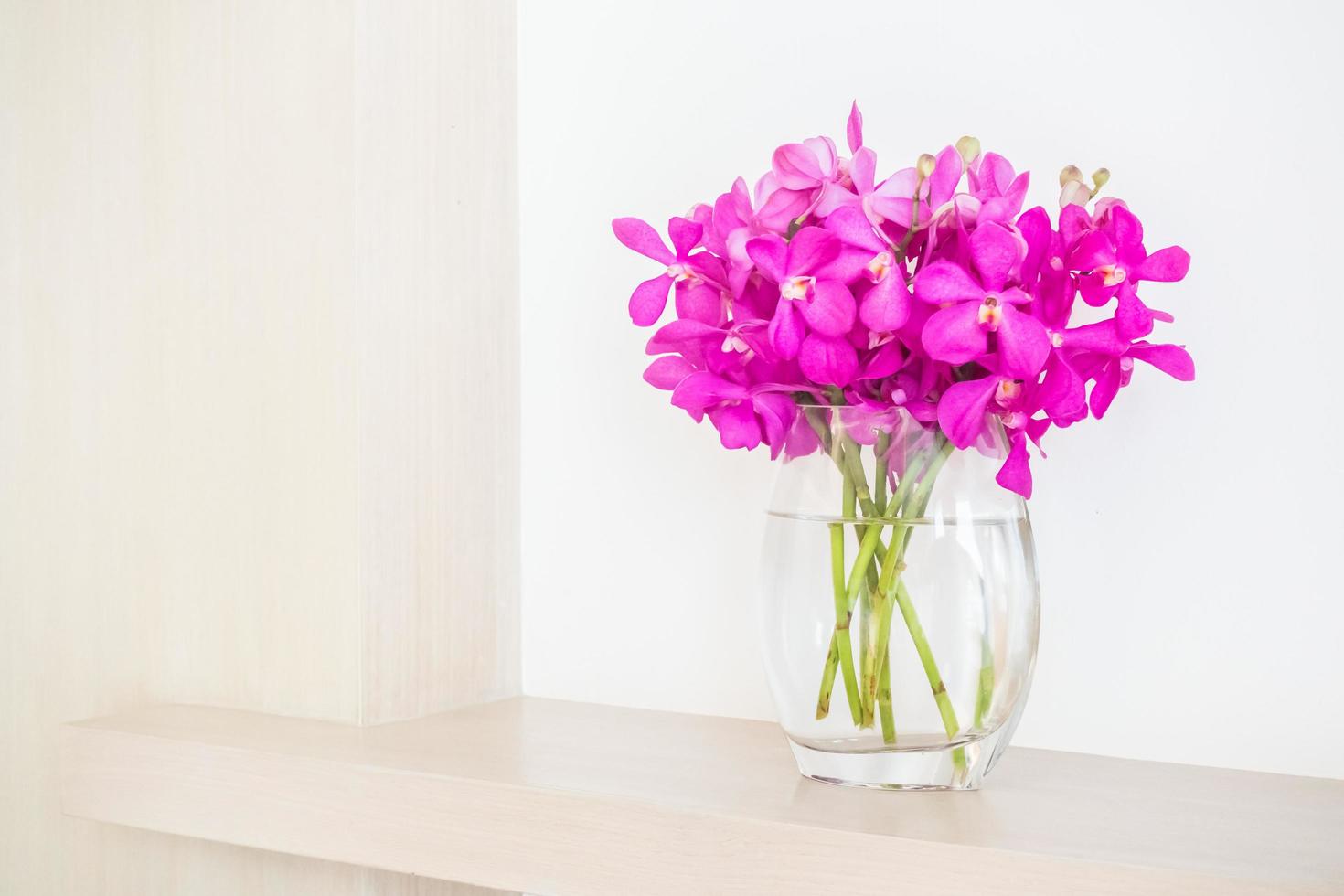 orchidées dans un vase photo