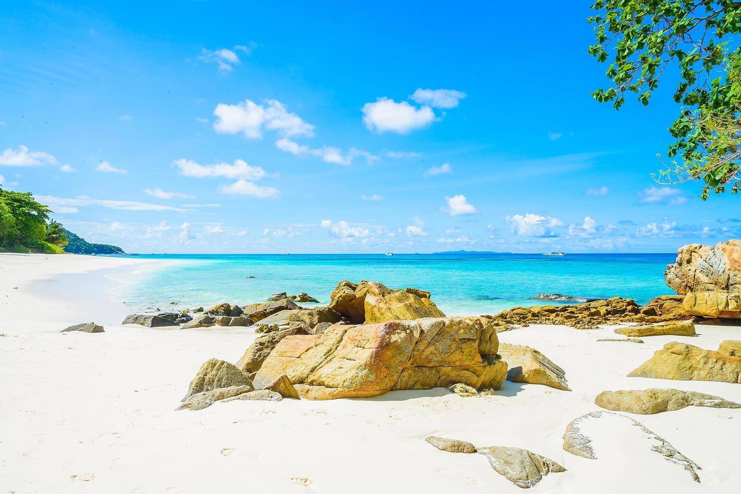 beau fond de plage tropicale photo