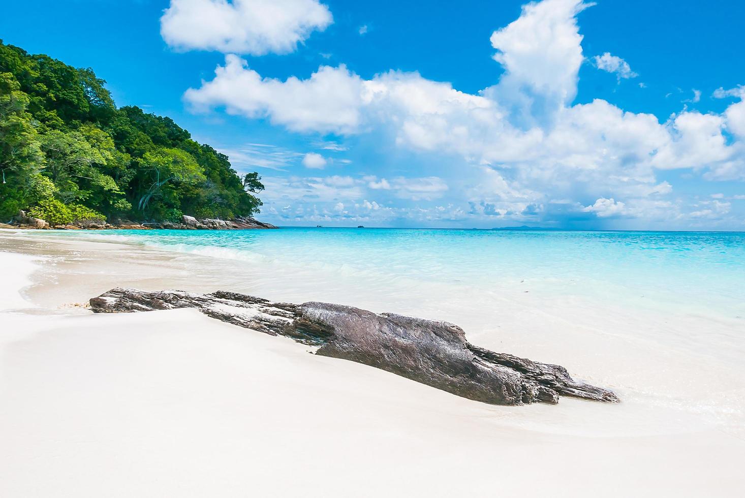 beau fond de plage tropicale photo