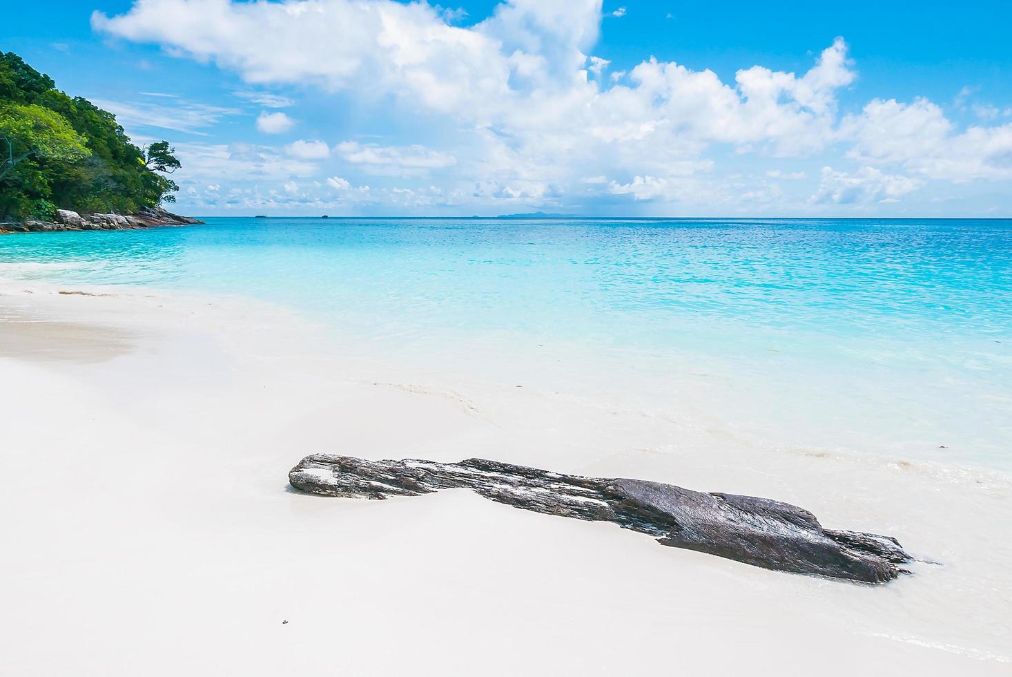 beau fond de plage tropicale photo