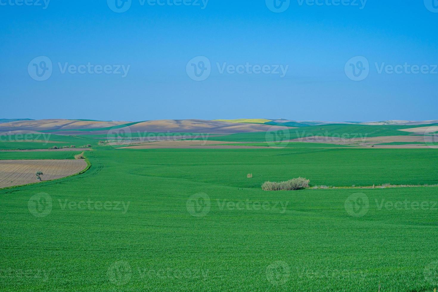 champ vert herbeux avec des collines photo