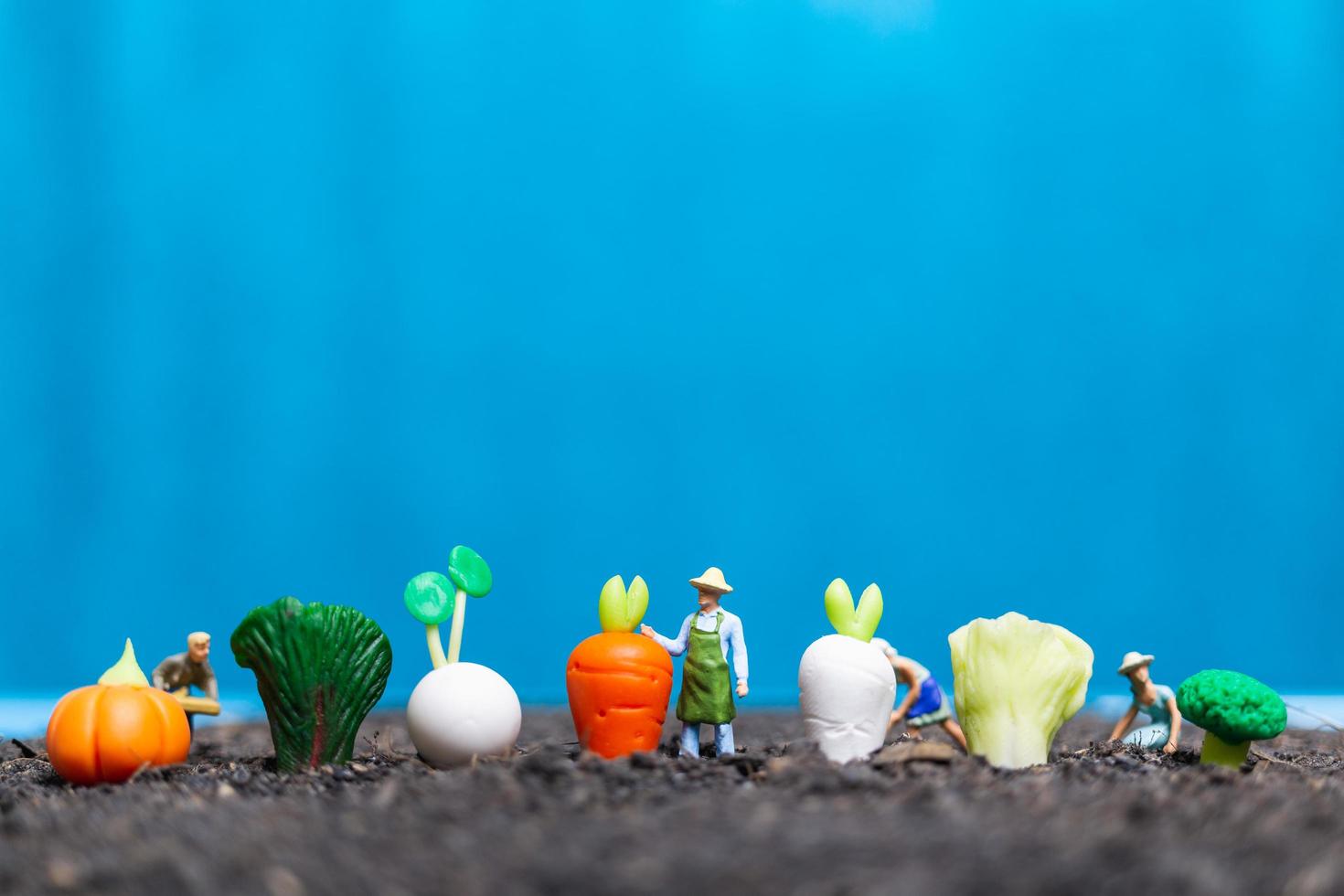 jardiniers miniatures récolte de légumes, concept agricole photo