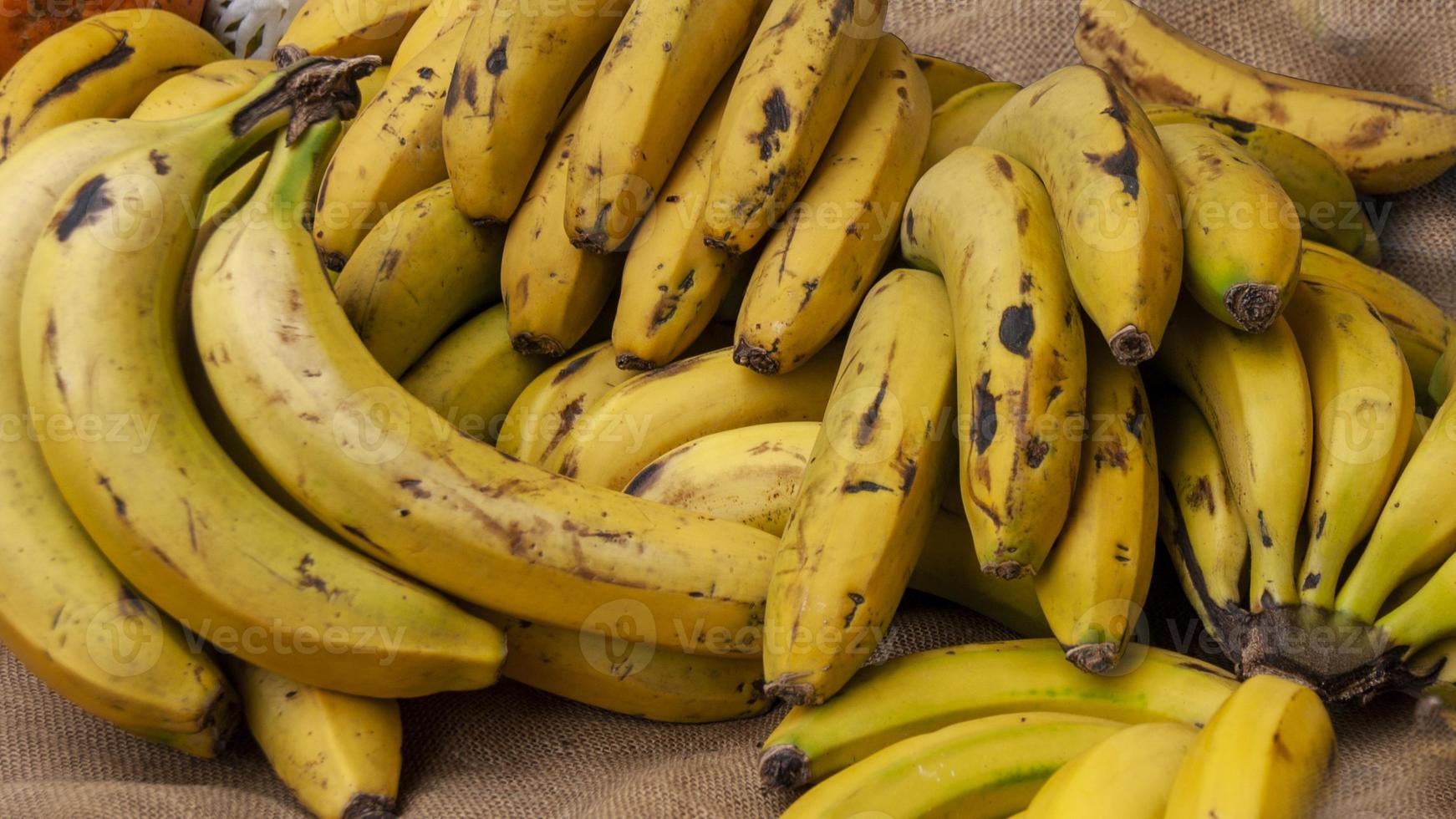 bananes des îles canaries photo