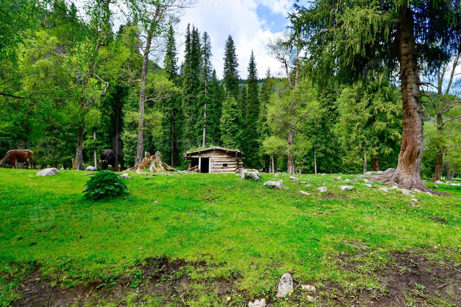 qiongkushtai est une secret jardin et une petit kazakh village dans xinjiang. photo