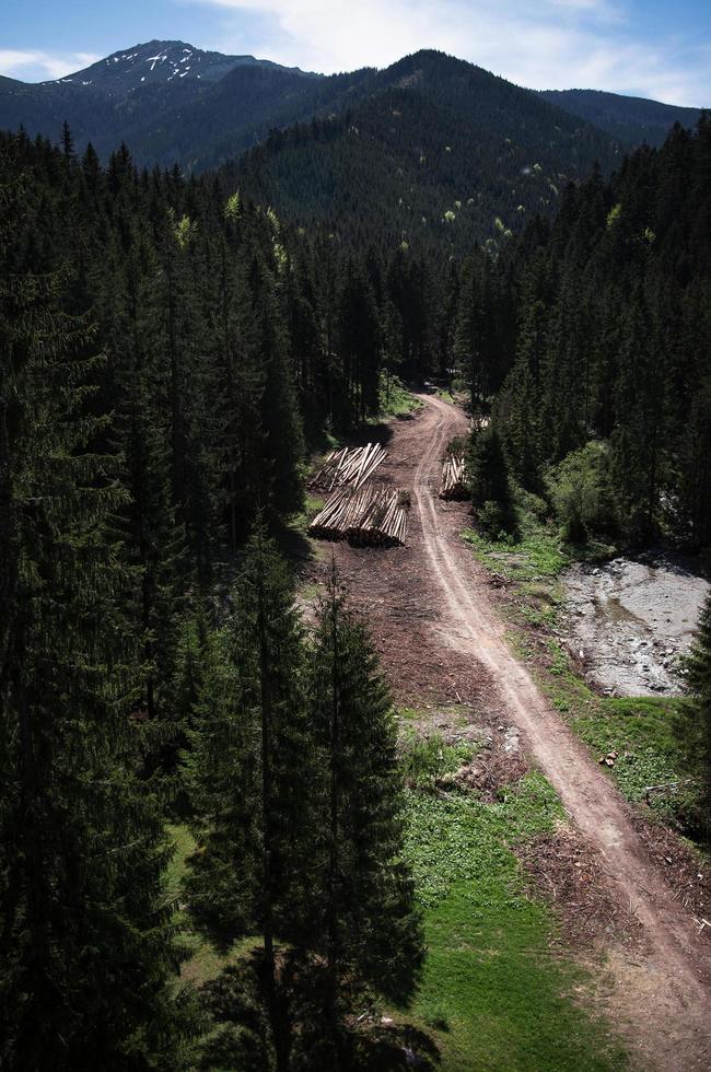 vue aérienne d'une route à travers une forêt photo