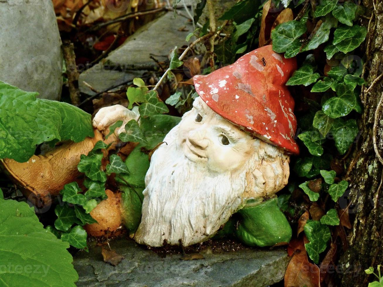 jardin gnome dans lierre photo