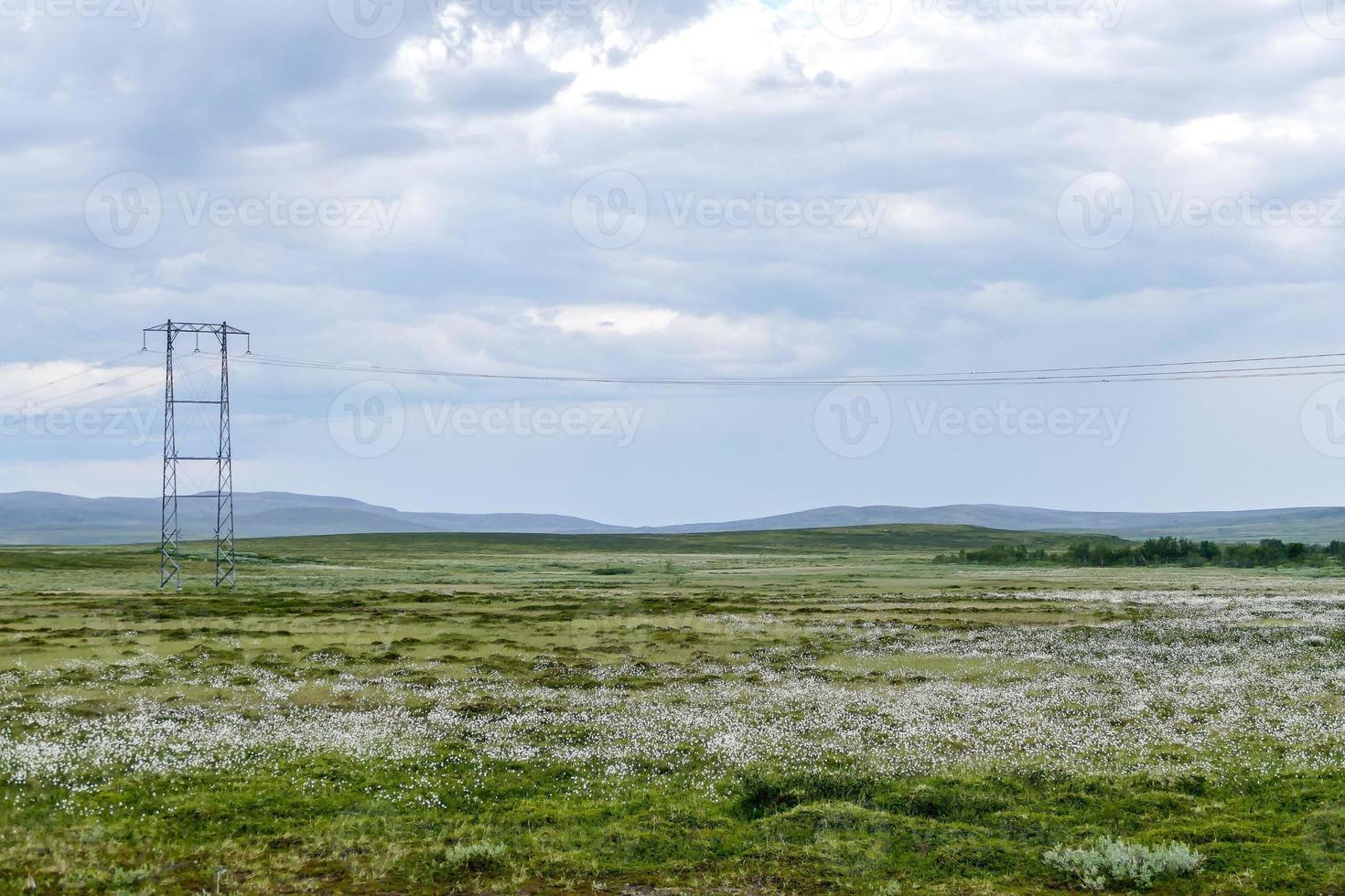 scénique rural paysage photo