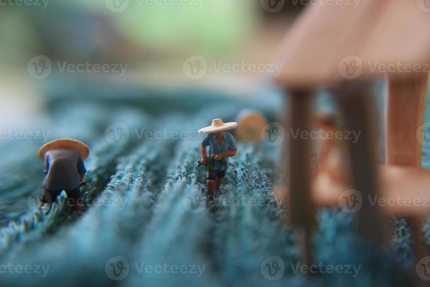 une photo de une miniature figure avec le concept de une thé jardin agriculteur qui est récolte, puis une femmes attendre à le pavillon.