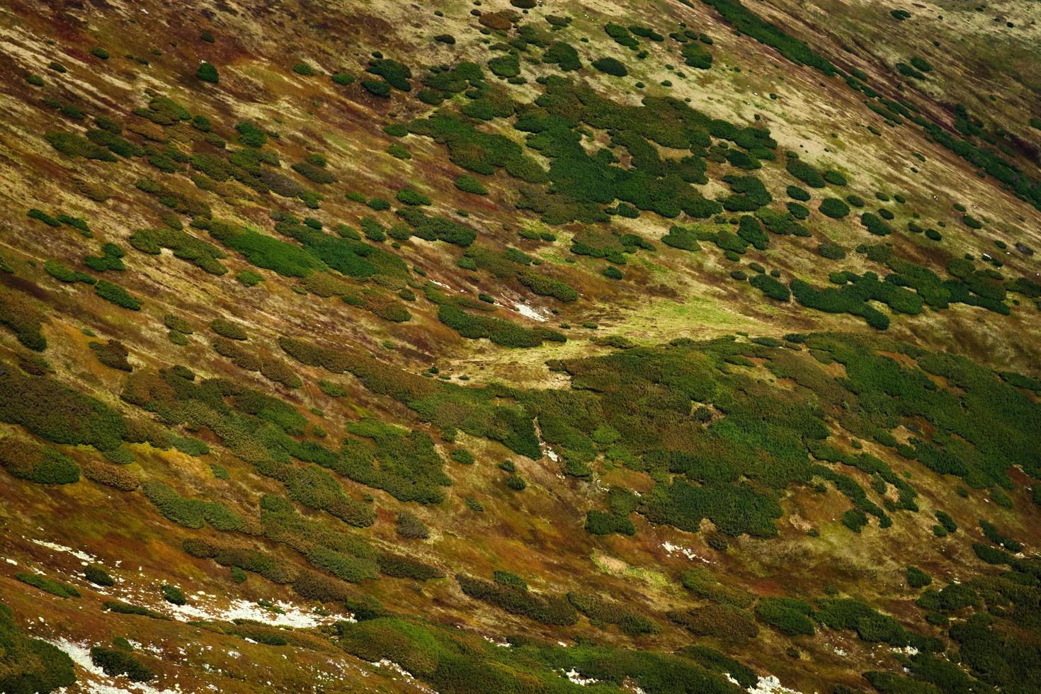 versant de montagne aux couleurs de l'automne photo