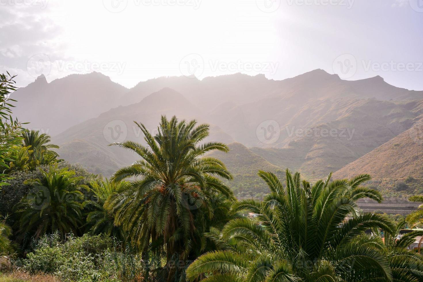 paysage de montagne pittoresque photo