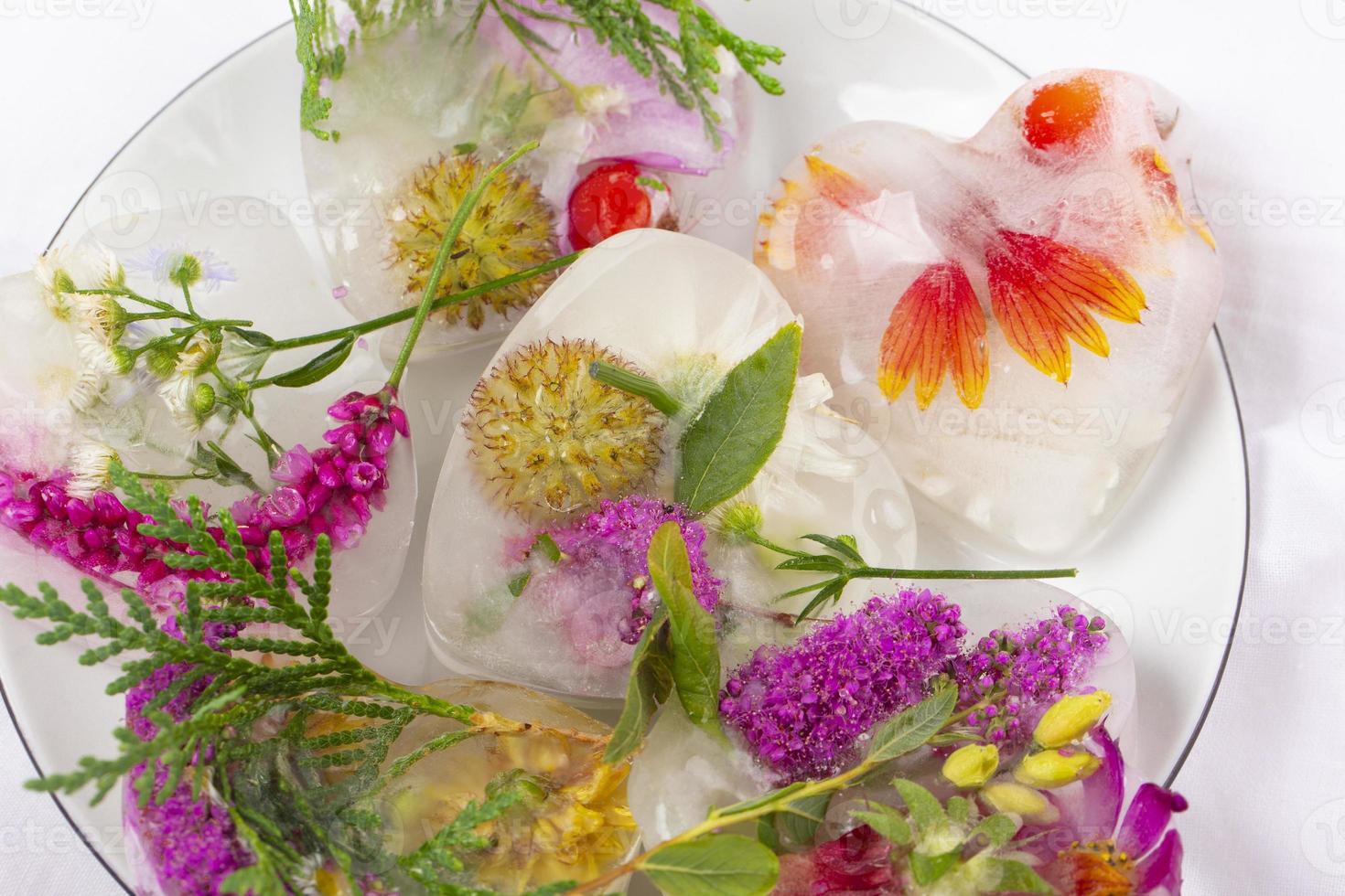 divers fleurs dans la glace cubes. Créatif floral Contexte. congelé magnifique les plantes. photo