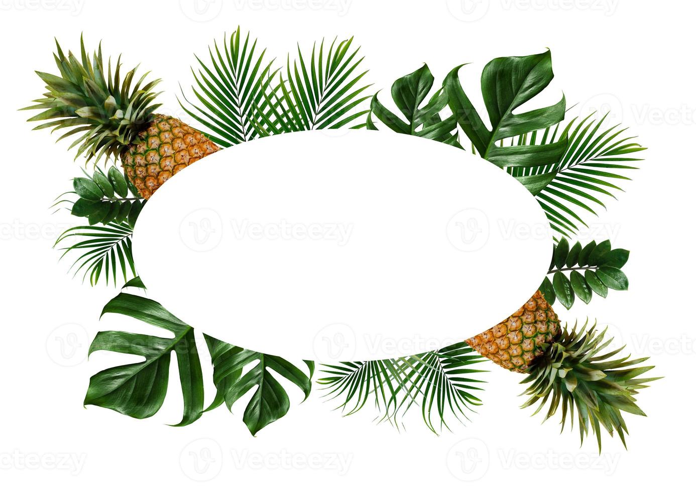cadre de feuilles tropicales isolé sur fond blanc photo