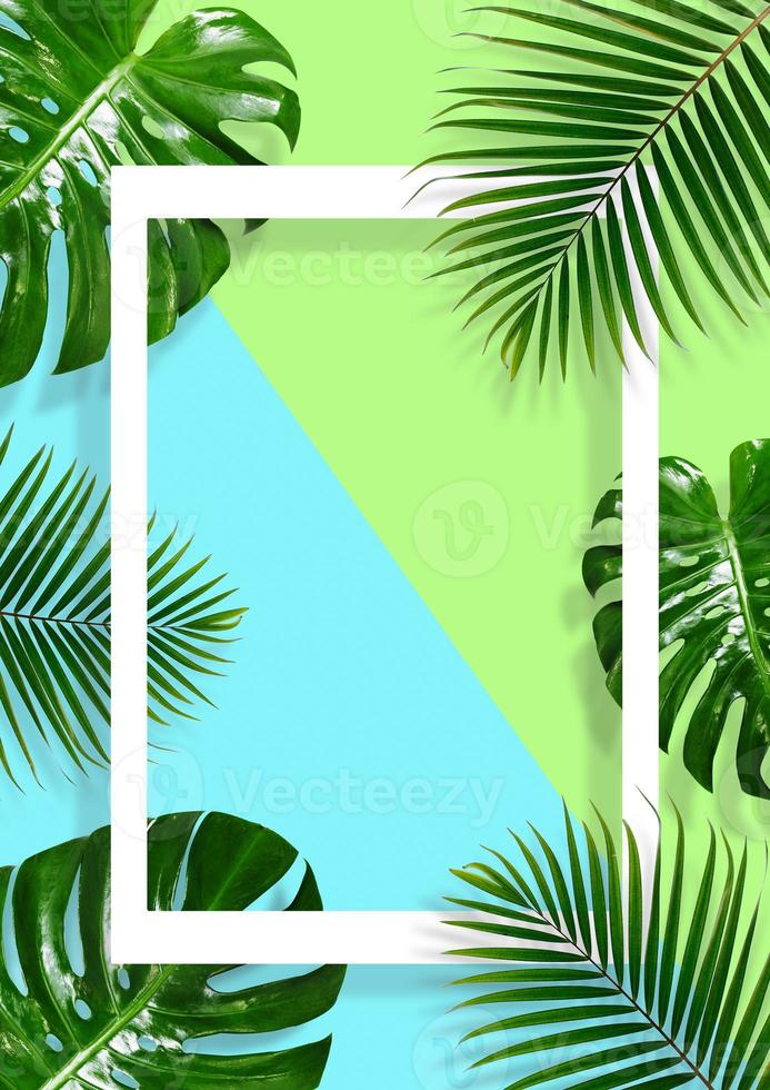 cadre de feuilles tropicales sur fond bleu et vert photo