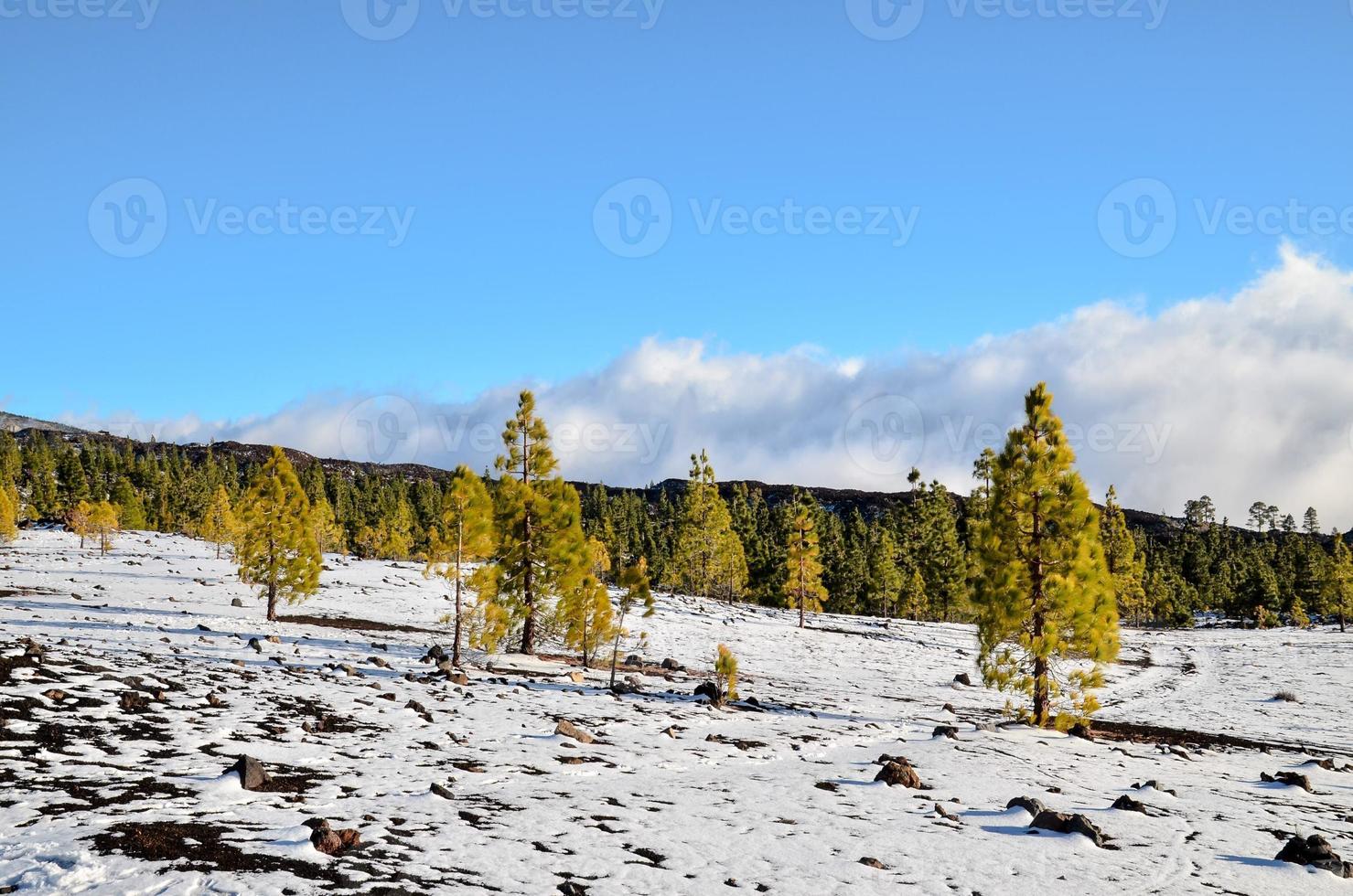 paysage de montagne pittoresque photo