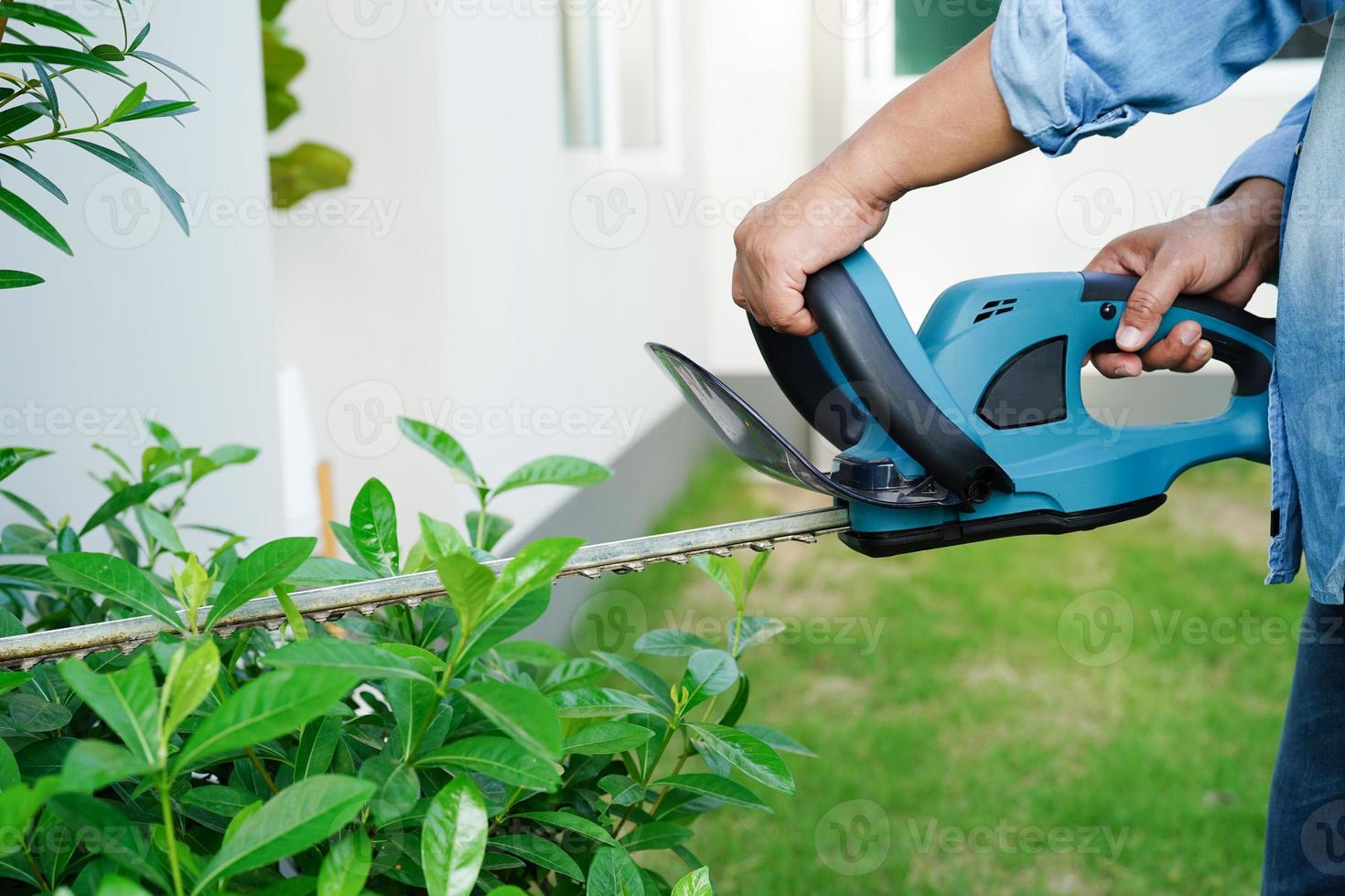 jardinier coupant le buisson par des taille-haies électriques dans le jardin. passe-temps à la maison. photo