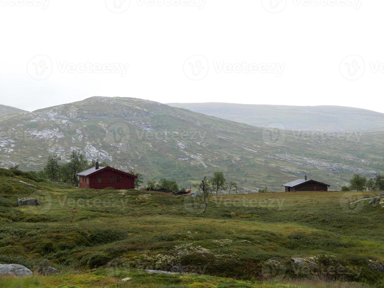 croisière dans les fjords de norvège photo