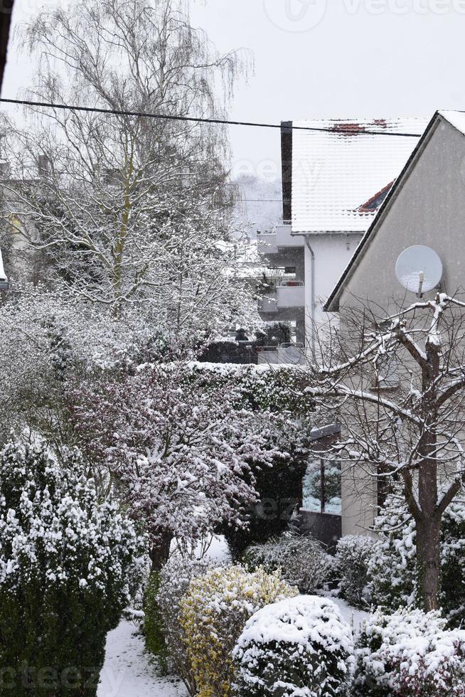 neige couvert des arbres et des buissons dans une village photo