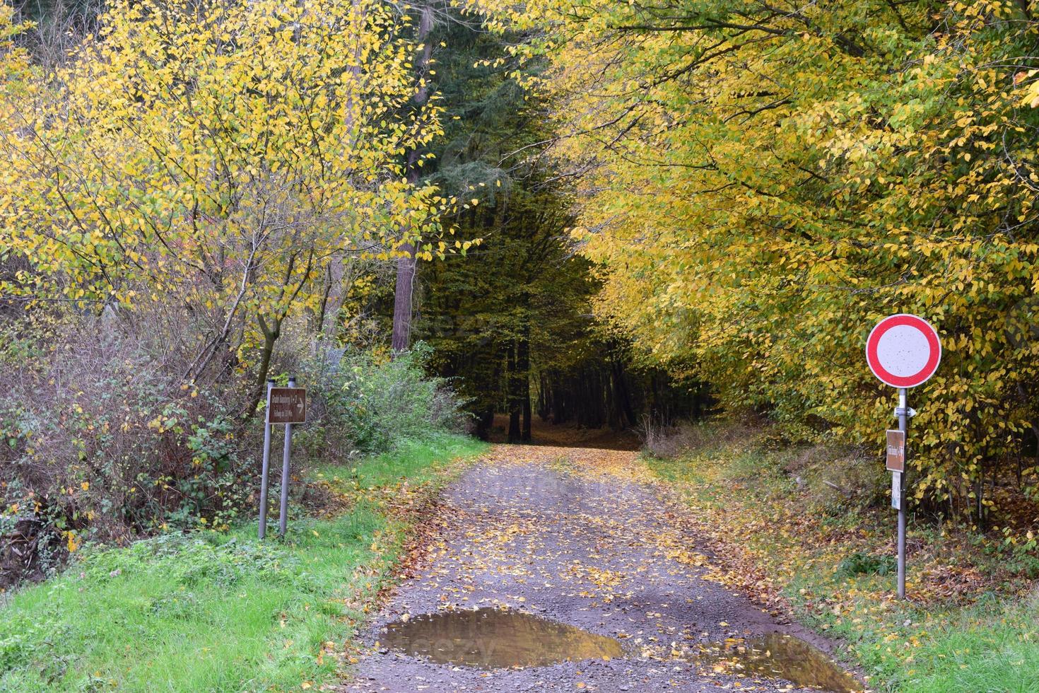 humide saleté route dans l'automne photo