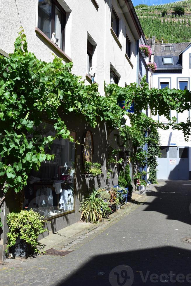 étroit rue avec vigne photo