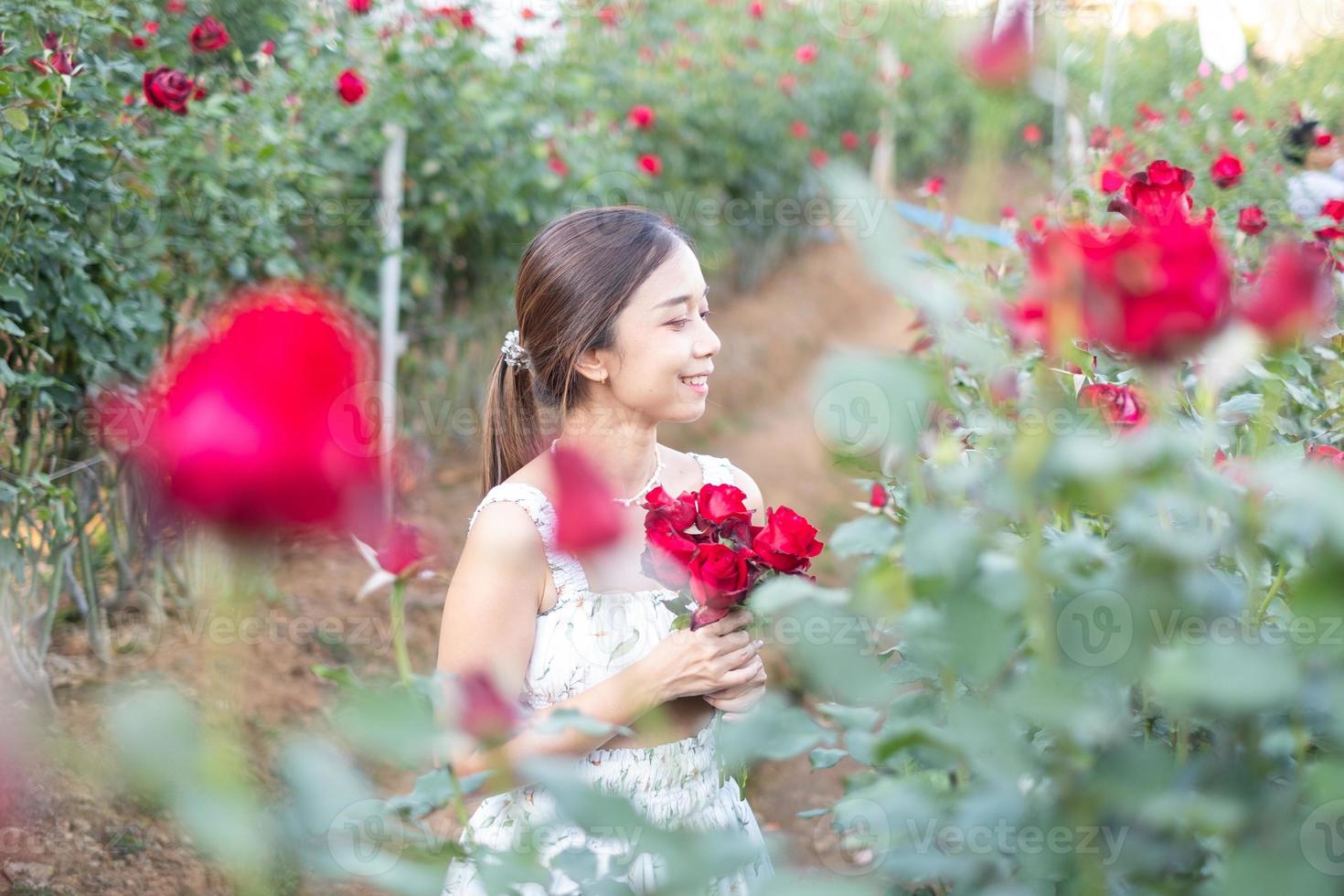 Jeune asiatique femme portant une blanc robe pose avec une Rose dans Rose jardin photo