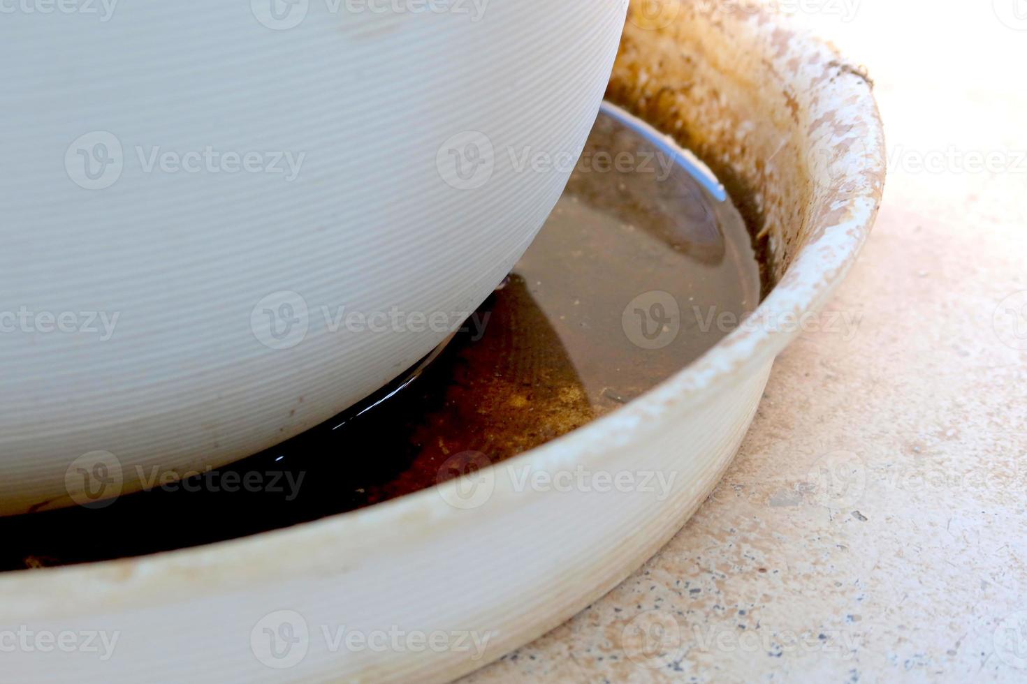 nettoyer l'eau est dans le plateau pour le plante pot, lequel est une reproduction sol pour les moustiques et se répand maladie. photo