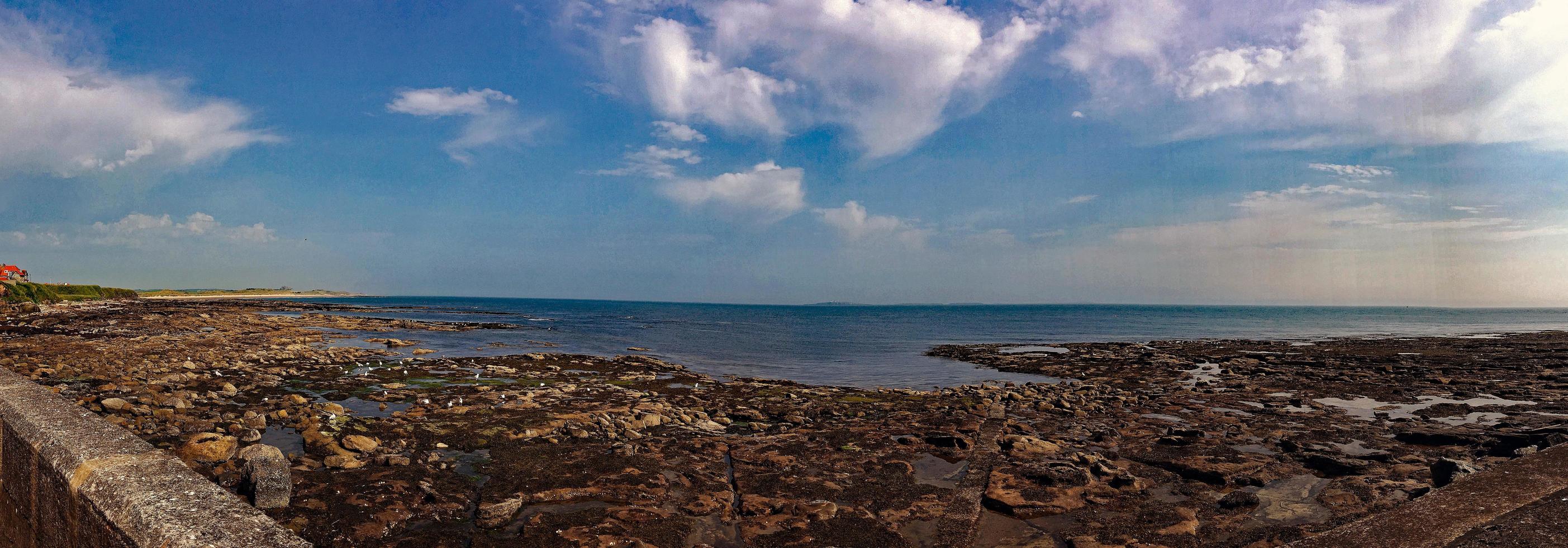 une vue de des oiseaux sur farne îles photo