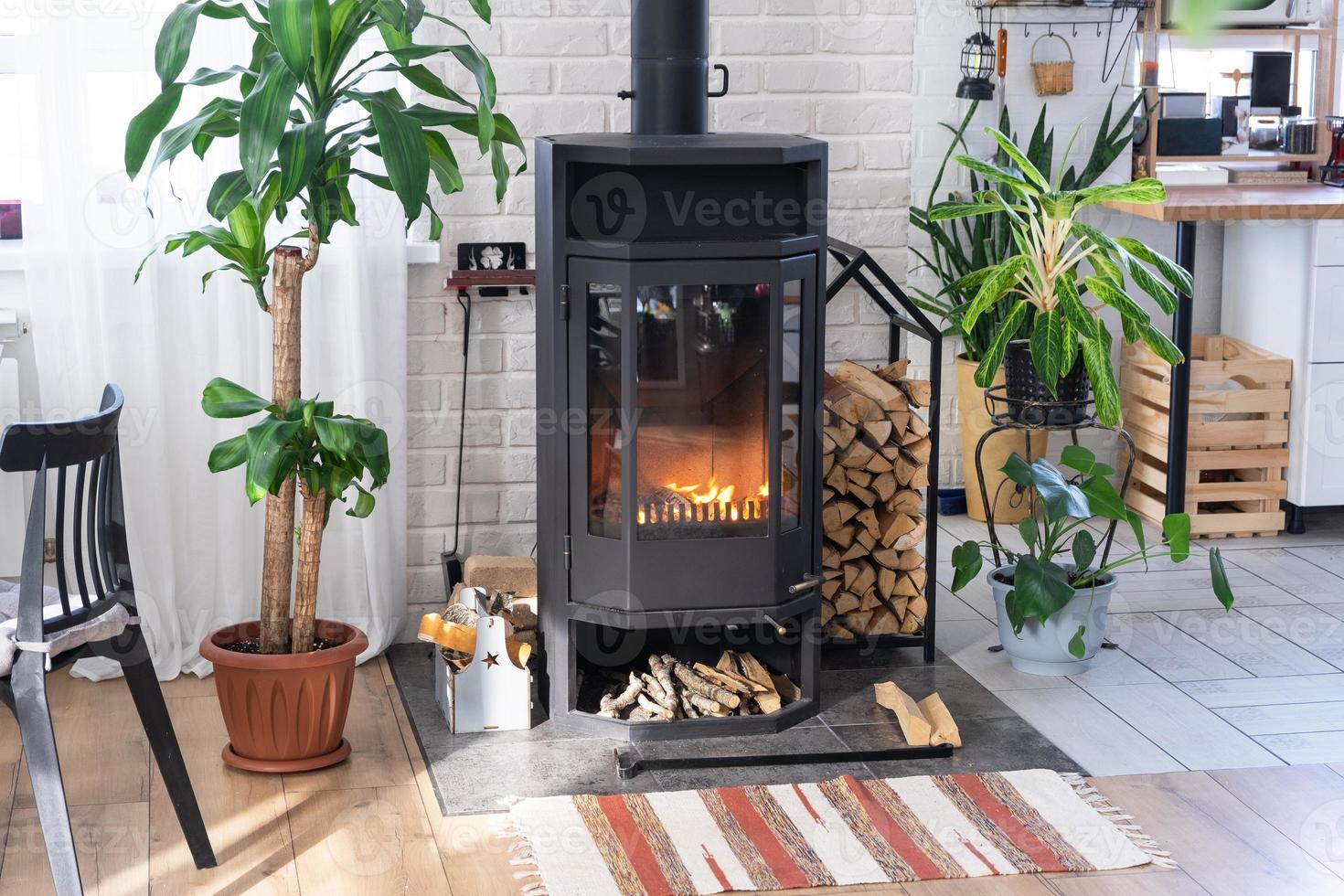 noir métal acier cheminée le fourneau avec Feu et bois de chauffage dans vert Accueil avec intérieur plante dans fleur pot dans village maison. confortable Accueil foyer dans intérieur avec mis en pot les plantes photo