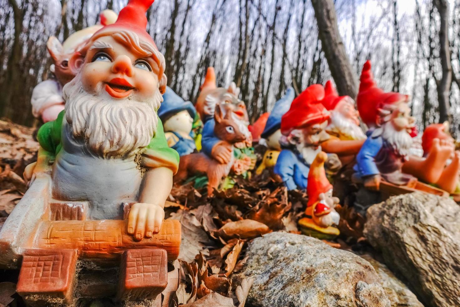 coloré jardin gnomes avec bois et vu à une endroit dans le forêt photo