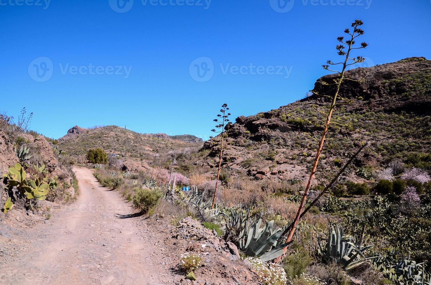 route par le scénique paysage photo