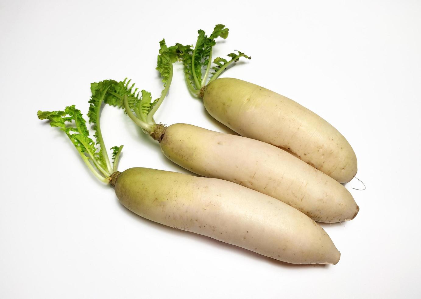 blanc un radis ou daikon isolé dans blanc Contexte photo