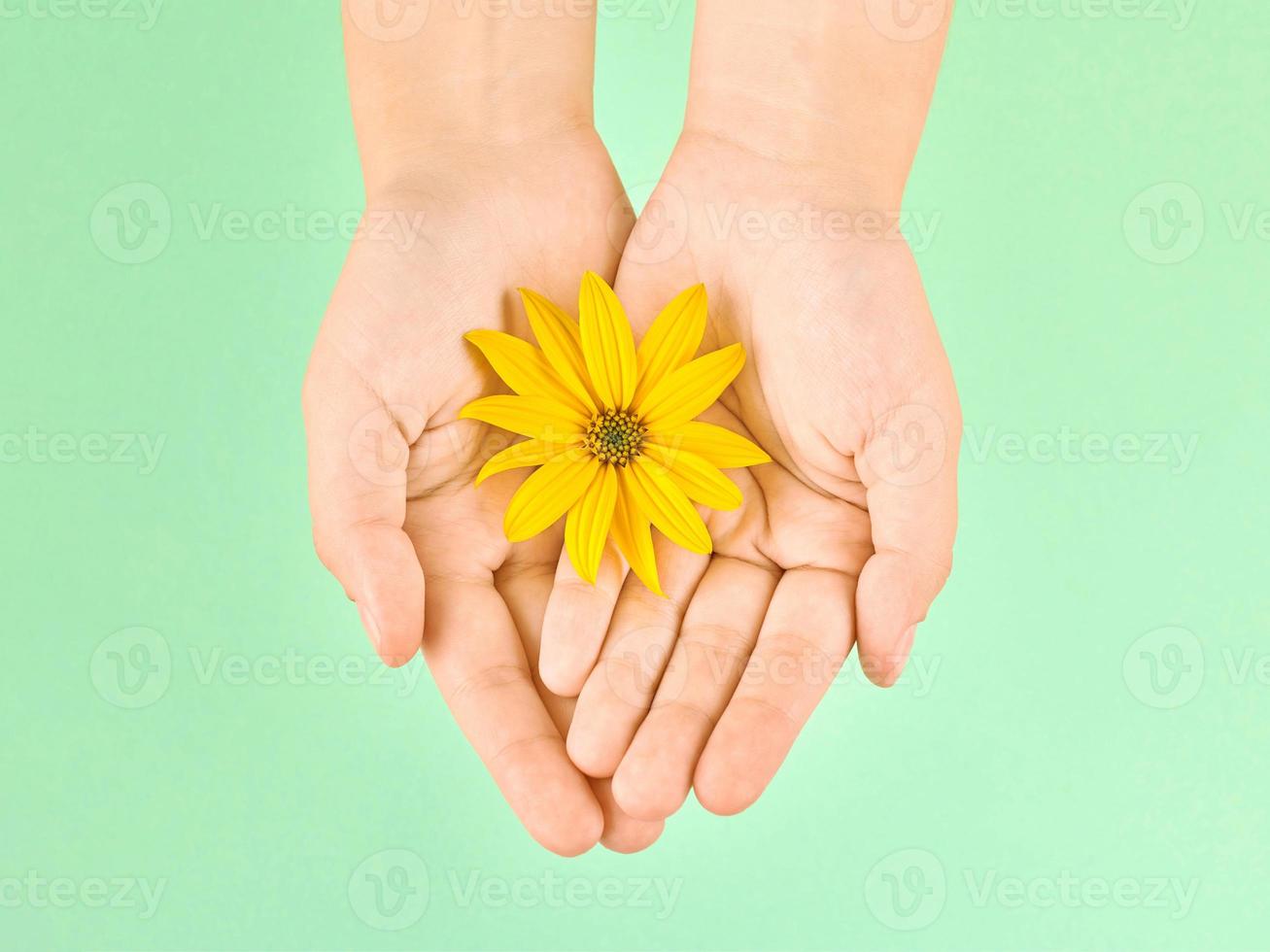 fleur jaune dans les paumes femelles, concept d'hygiène des mains et de soins cosmétiques, symbole de la nature pure photo