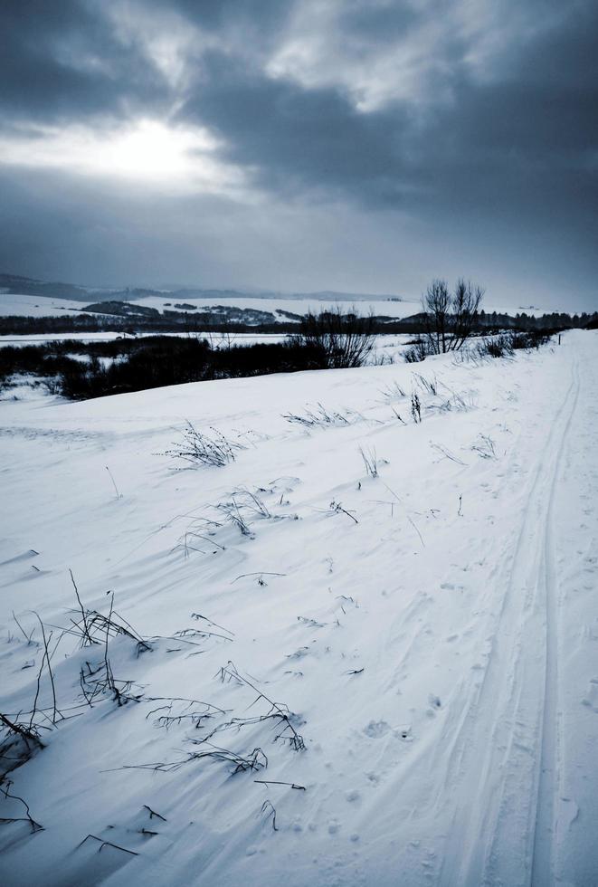 paysage d'hiver maussade photo