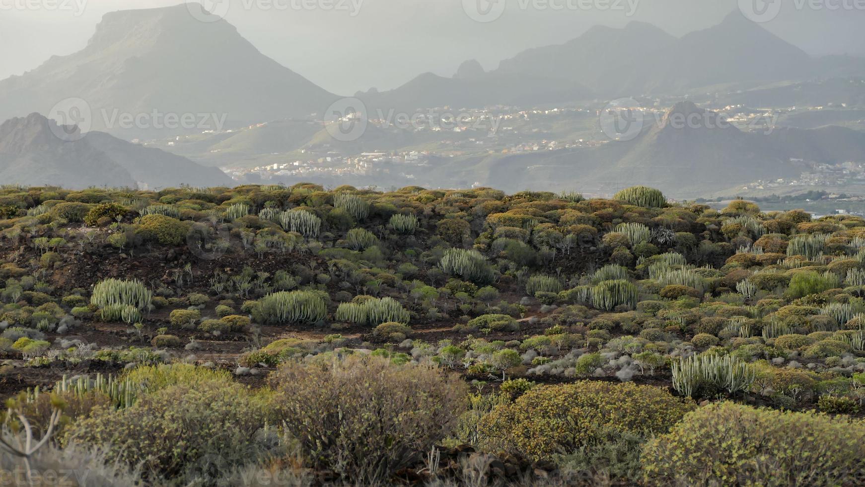 paysage de montagne pittoresque photo