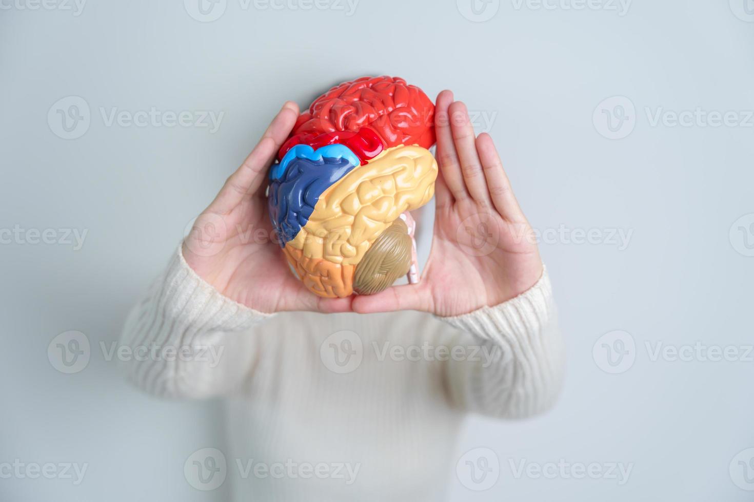 femme en portant Humain cerveau modèle. monde cerveau tumeur jour, cerveau accident vasculaire cérébral, démence, Alzheimer, parkinson et monde mental santé concept photo