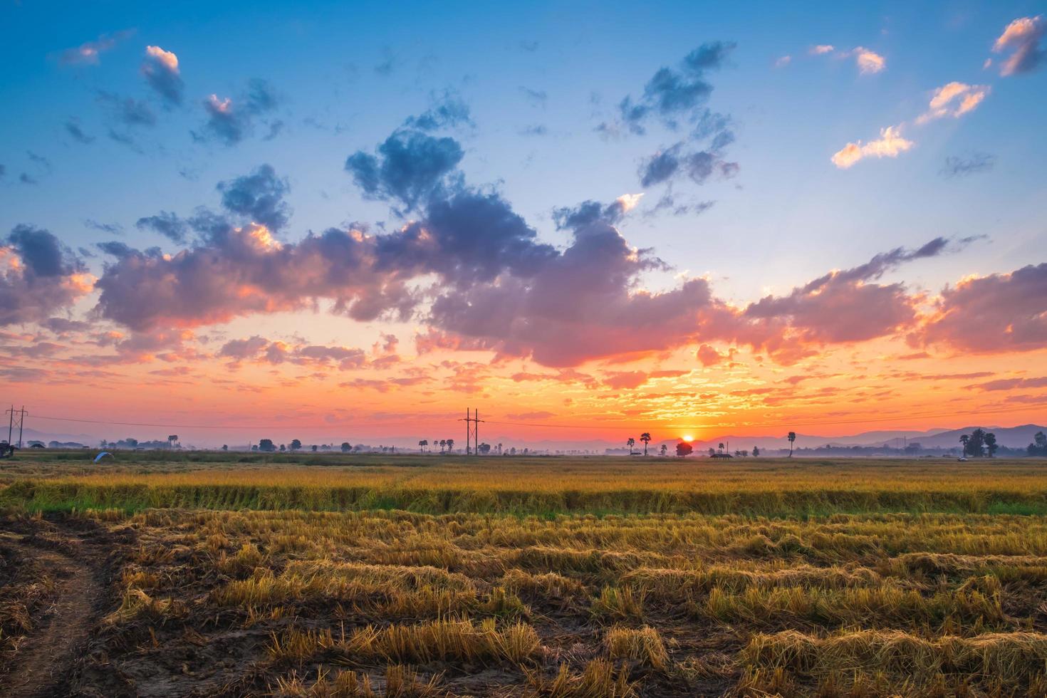 coucher de soleil sur un champ photo