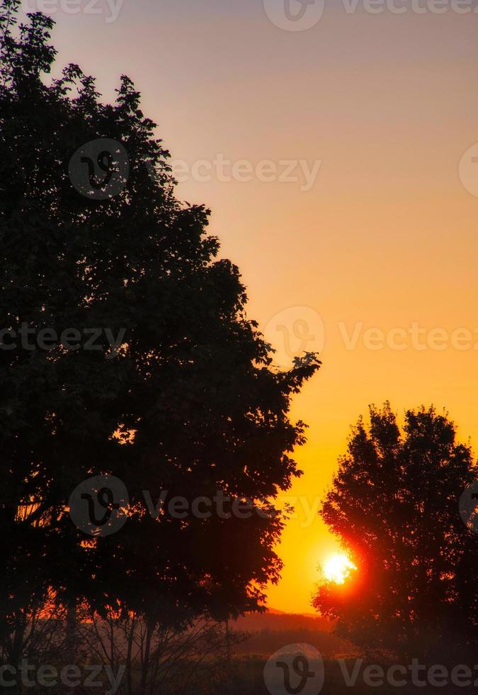 le coucher du soleil. le Soleil brille entre le des arbres dans le d'or lumière. l'automne ambiance. paysage photo