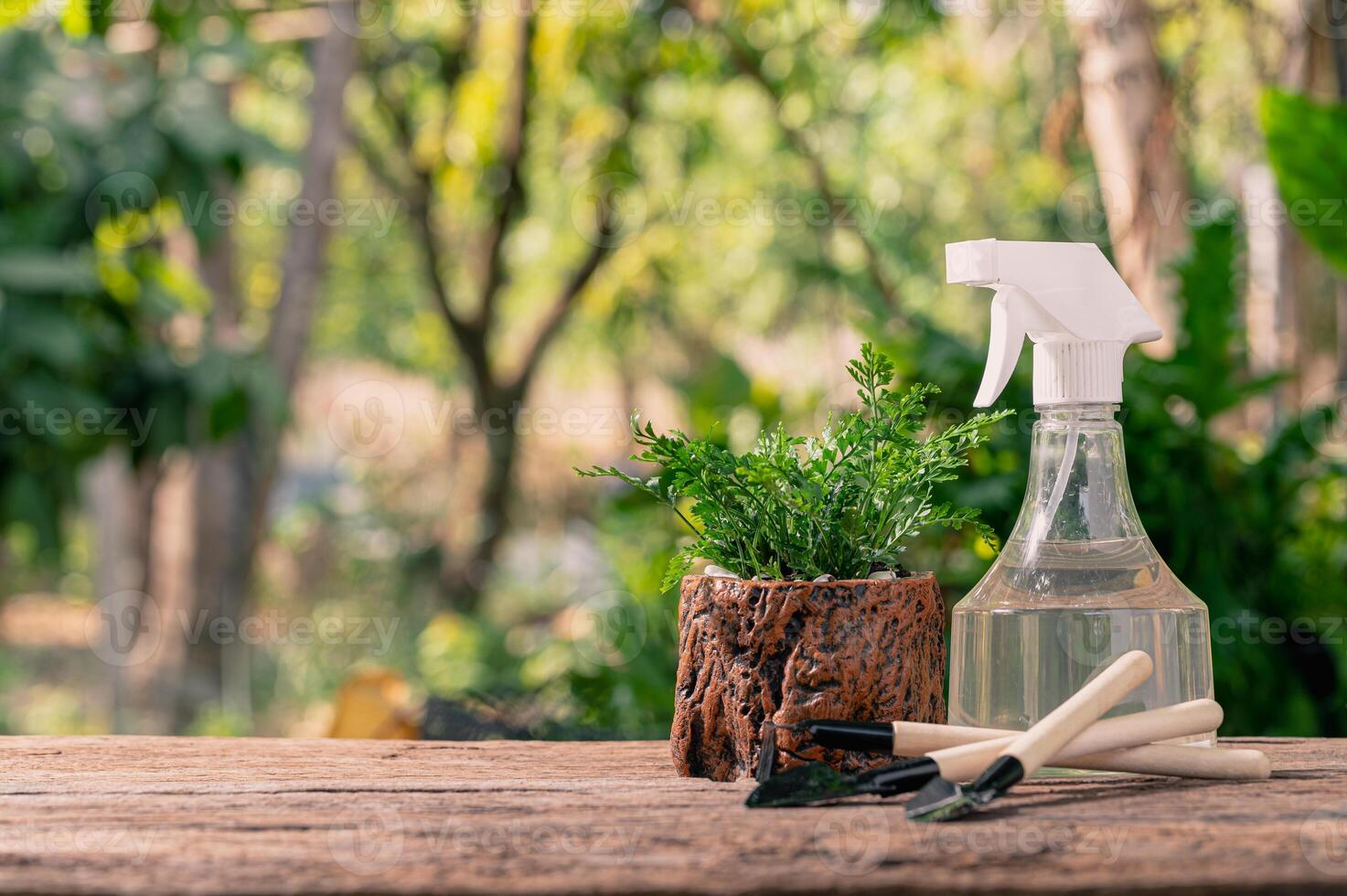 planter des arbres dans des pots, aimer les plantes et le concept d'environnement photo