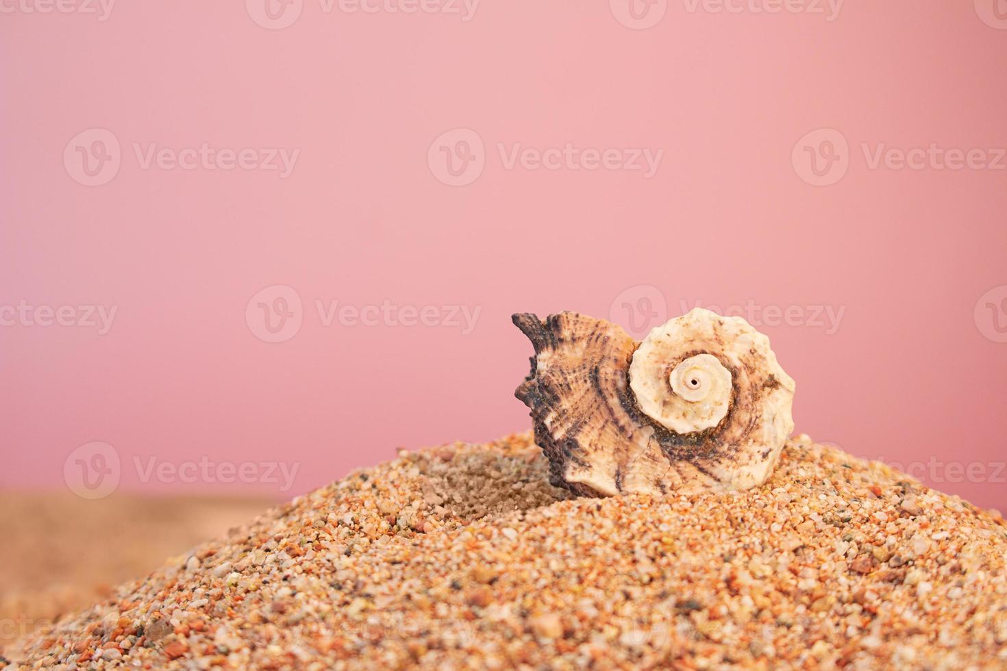 femmes est plage accessoires sur le le sable pour une été vacances concept.  paille sac, étoile de mer. Voyage Contexte. 23294970 Photo de stock chez  Vecteezy