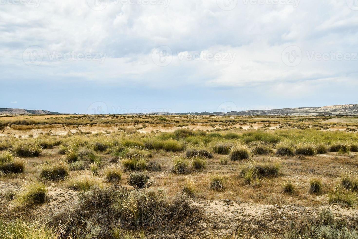 scénique rural paysage photo