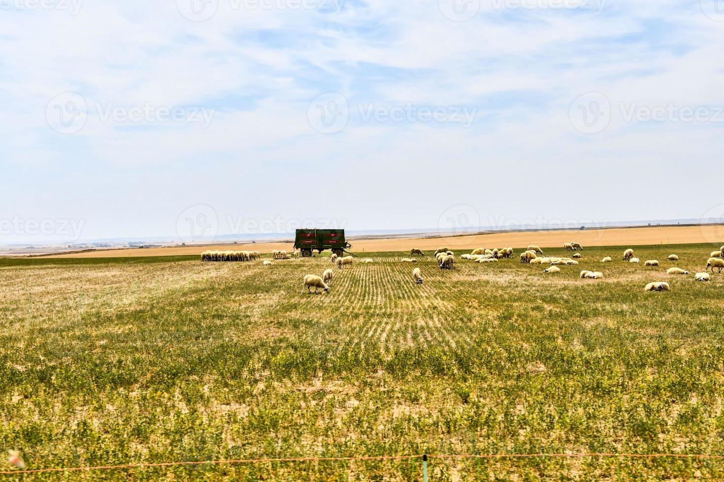 scénique rural paysage photo