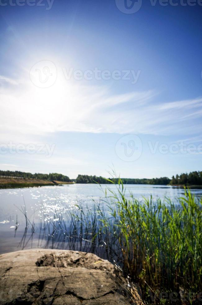 paysage en suède, europe photo