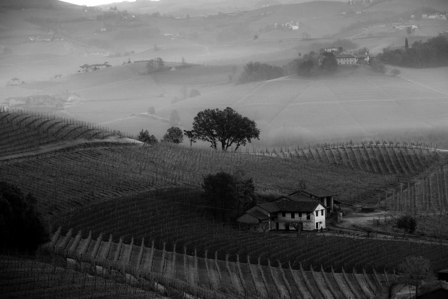 paysages de le piémontais langhe dans noir et blanche. vignobles et collines de piémont dans le hiver de 2023 photo