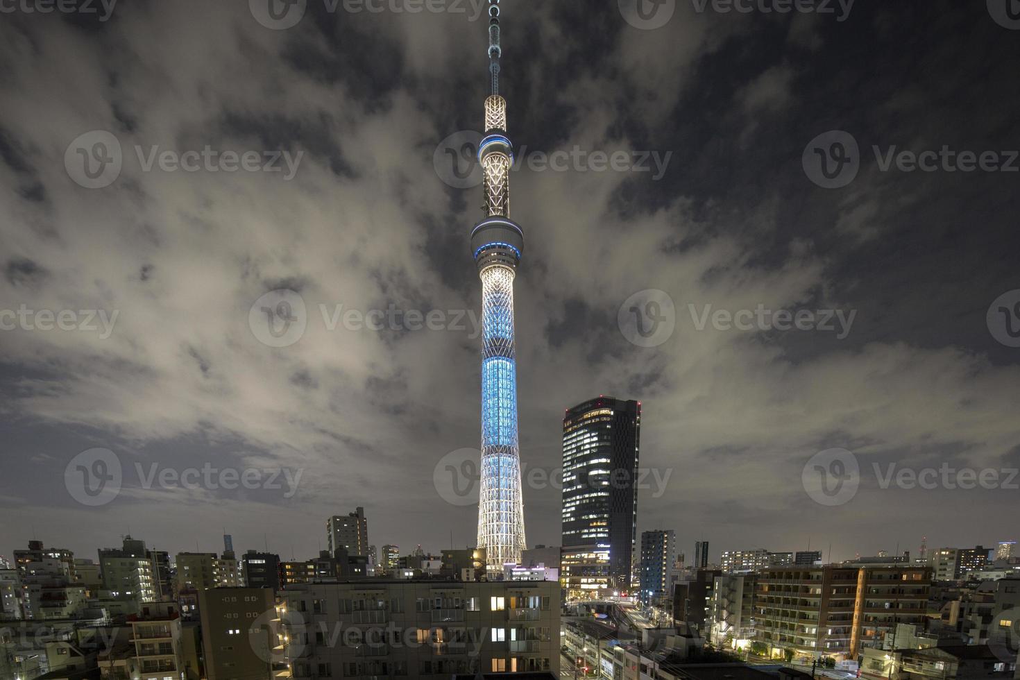 ciel arbre tokyo la tour à nuit photo