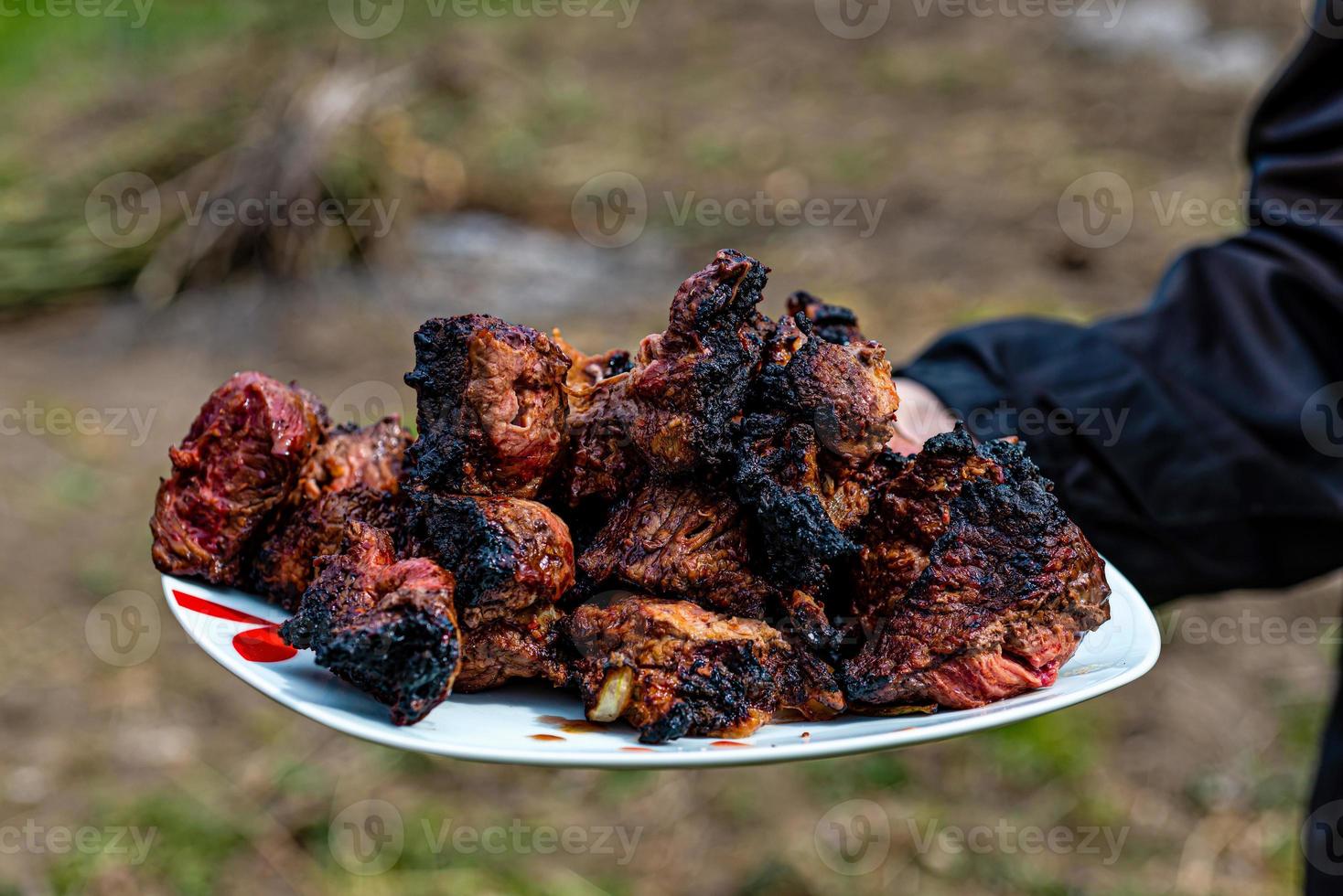 la main humaine tient une assiette blanche de kebab fraîchement cuit photo