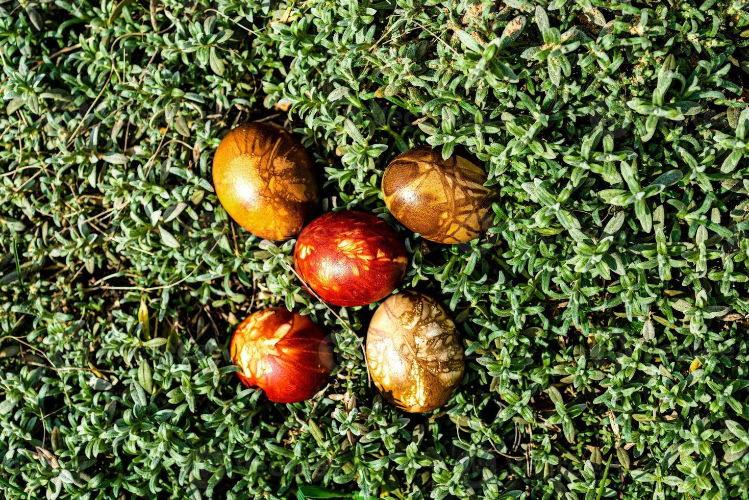 oeufs de pâques multicolores dans l'herbe verte photo