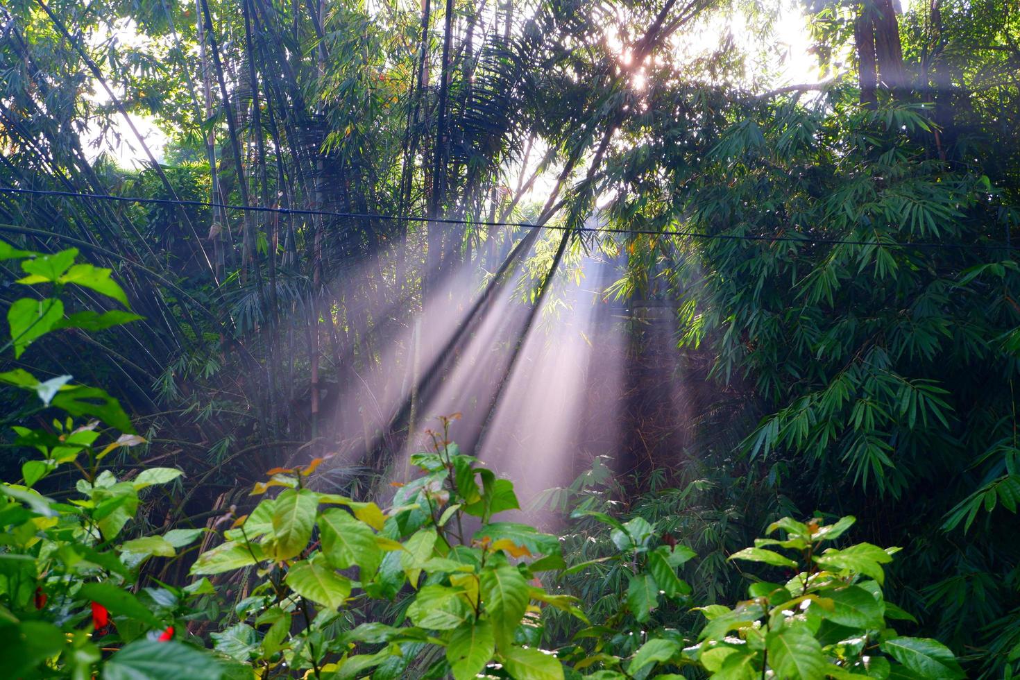 rayon de soleil photo