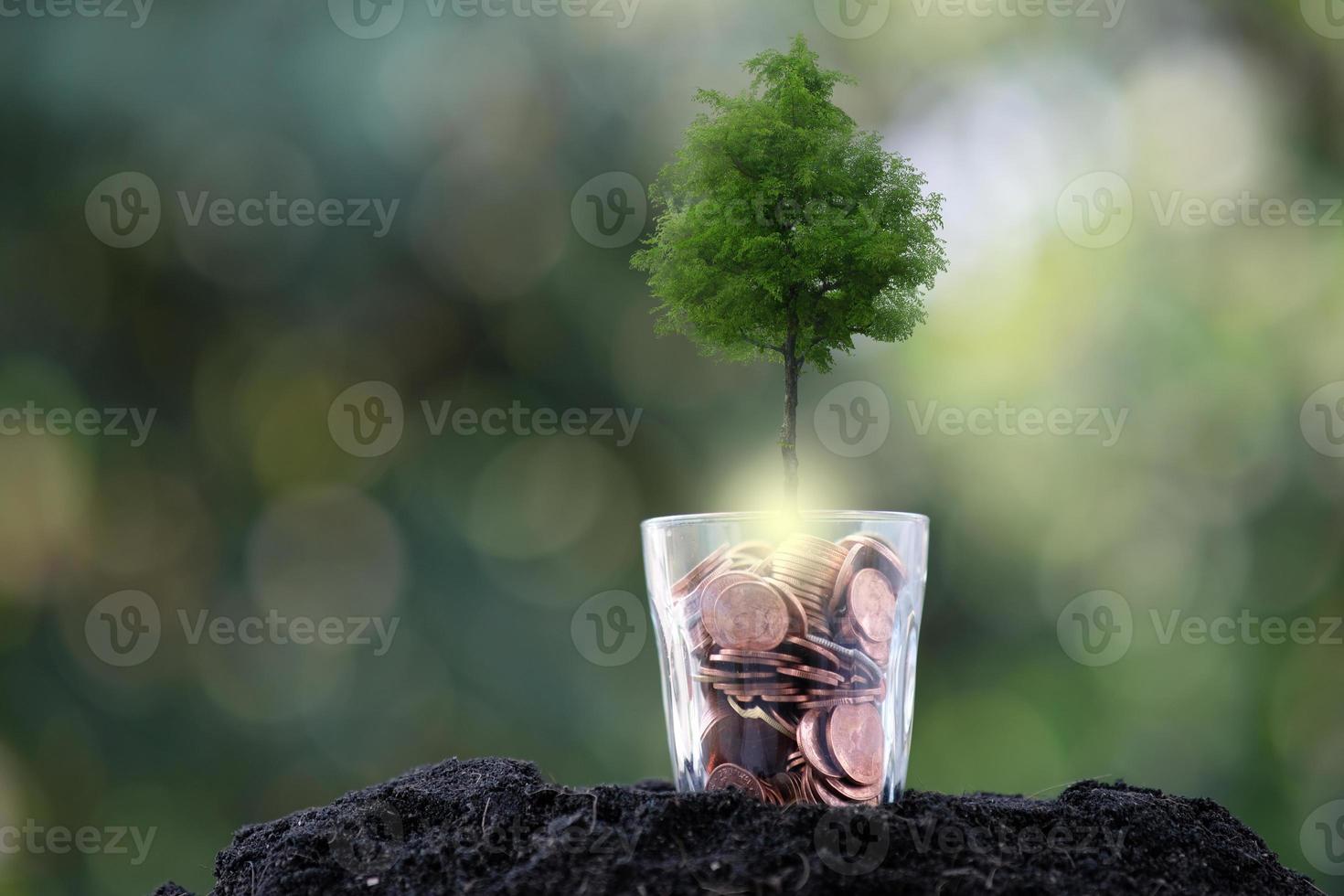 arbre poussant à partir d'un arbre, concept de croissance des entreprises photo